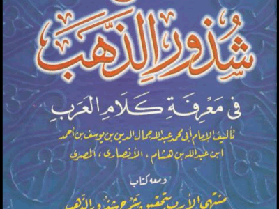 شرح متن شذور الذهب في معرفة كلام العرب” الدكتور محمد فيصل
