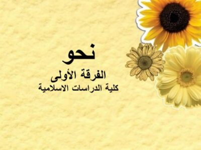 مادة النحو | الفرقة الأولى | كلية الدراسات الاسلامية | د. محمود أبوسمرة